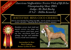 Class 5a ~ 1st ~ Anitefire Miss Coco Chanel.png
